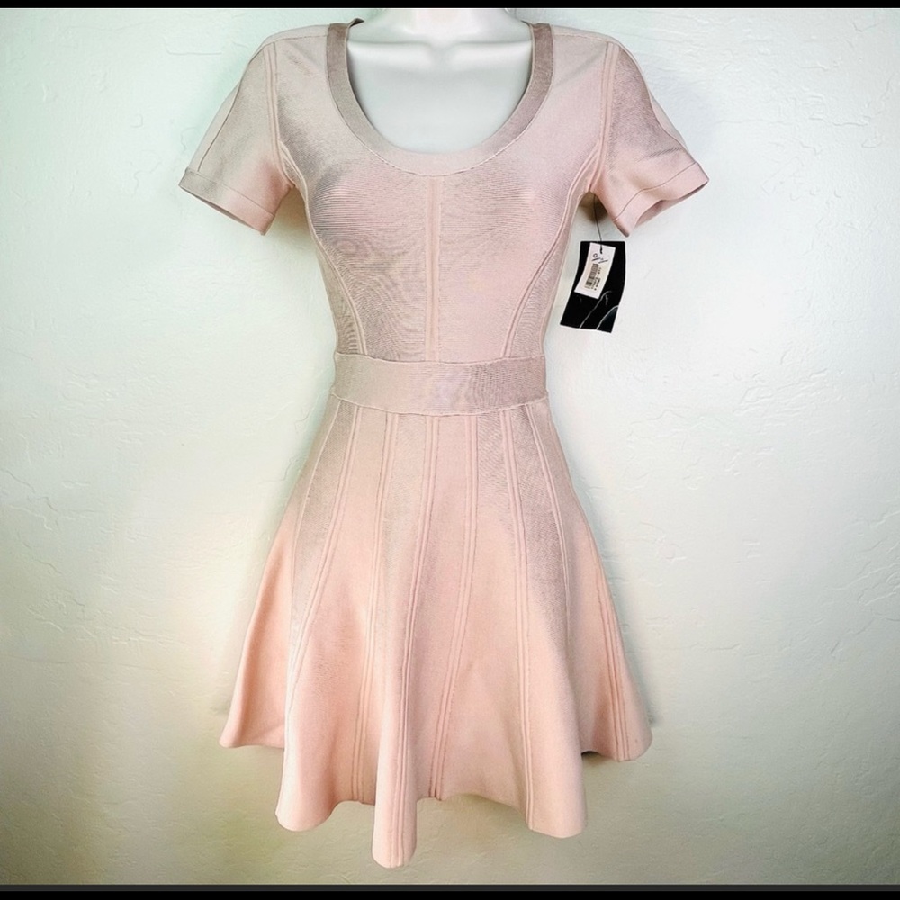 Herve Leger “Trish” blush flare dress XS NWT BLUSH